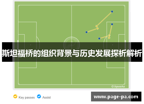 斯坦福桥的组织背景与历史发展探析解析