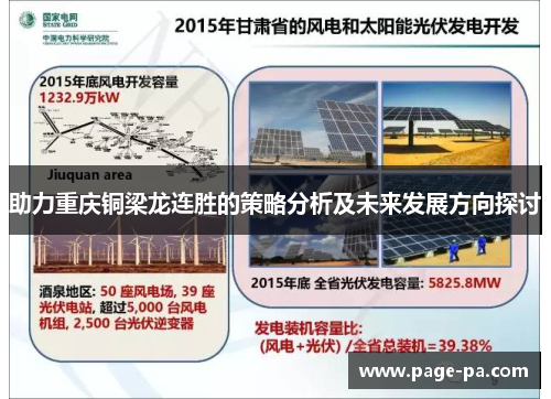 助力重庆铜梁龙连胜的策略分析及未来发展方向探讨