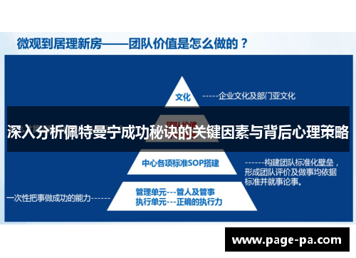 深入分析佩特曼宁成功秘诀的关键因素与背后心理策略