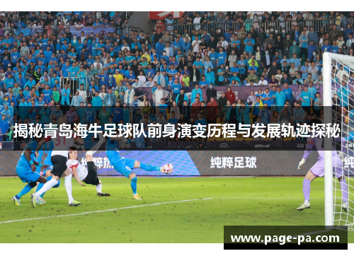 揭秘青岛海牛足球队前身演变历程与发展轨迹探秘