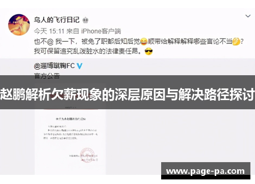 赵鹏解析欠薪现象的深层原因与解决路径探讨