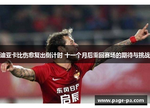 迪亚卡比伤愈复出倒计时 十一个月后重回赛场的期待与挑战