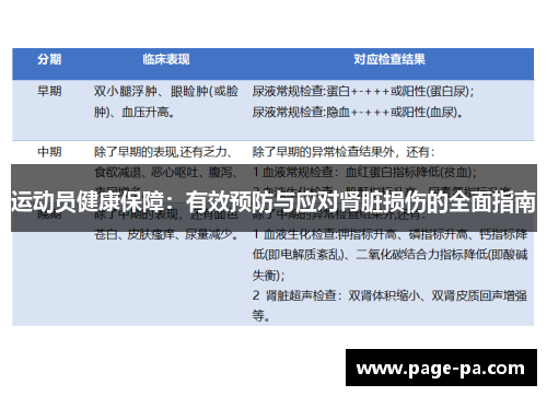 运动员健康保障：有效预防与应对肾脏损伤的全面指南