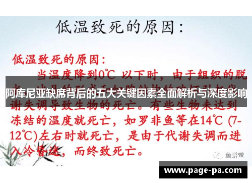 阿库尼亚缺席背后的五大关键因素全面解析与深度影响