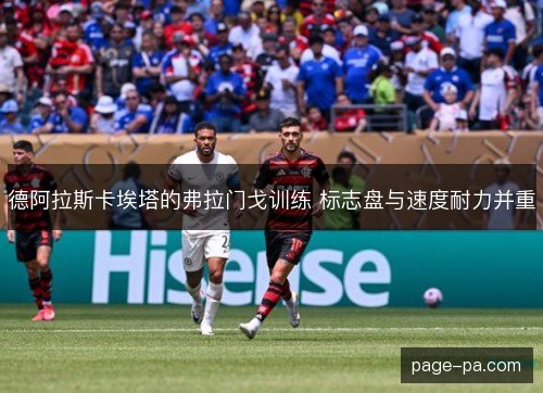 德阿拉斯卡埃塔的弗拉门戈训练 标志盘与速度耐力并重